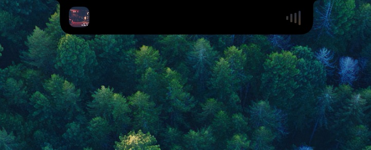Here Island compact notch player